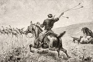 Throwing the Bolas